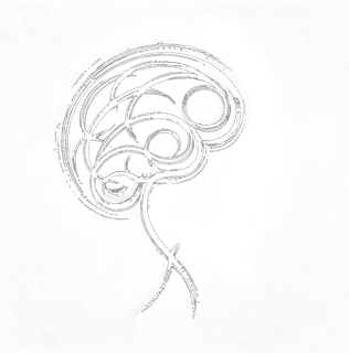 Neurological & Musculoskeletal