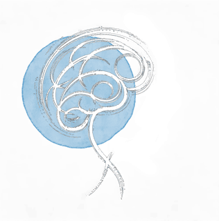 Domain 11: Musculoskeletal Challenges